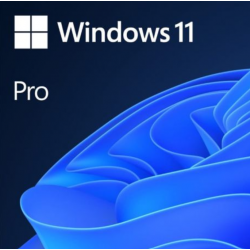 copy of Windows 10 Pro Upgrade